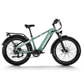 Himiway Fat Bike Zebra